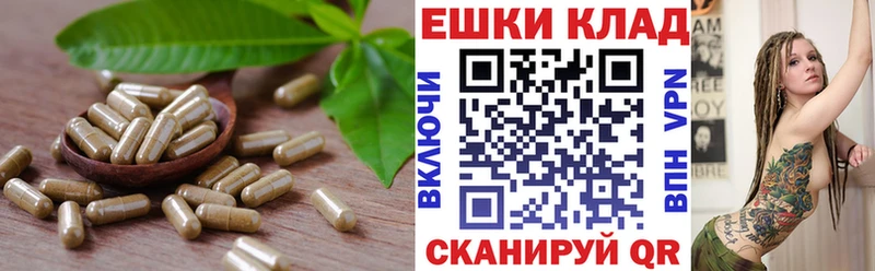 ЭКСТАЗИ 250 мг  купить закладку  кракен онион  Боровичи 