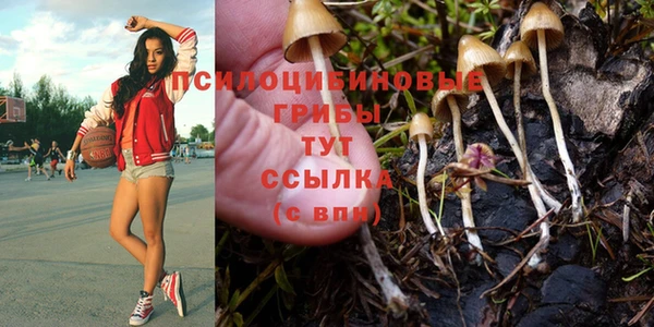трава Алзамай