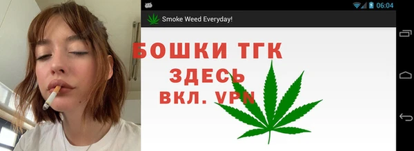 твердый Алексин