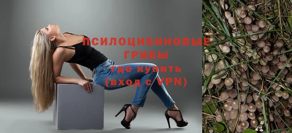 твердый Алексин
